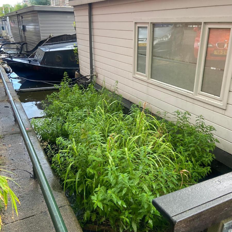 Houseboat Bonnie Bed & Breakfast Амстердам Екстериор снимка